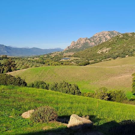مبيت وإفطار Sarragia Ferme De Roccapina المظهر الخارجي الصورة