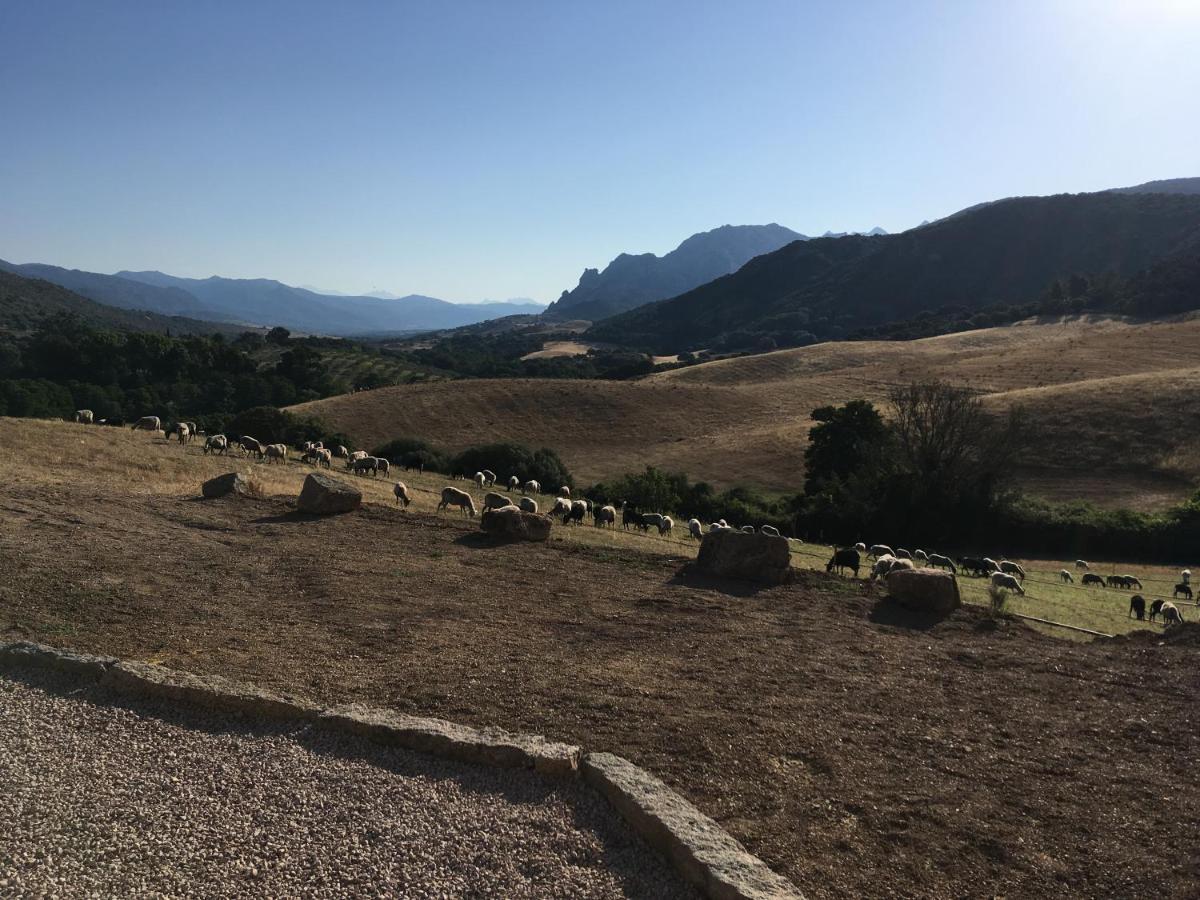 مبيت وإفطار Sarragia Ferme De Roccapina المظهر الخارجي الصورة