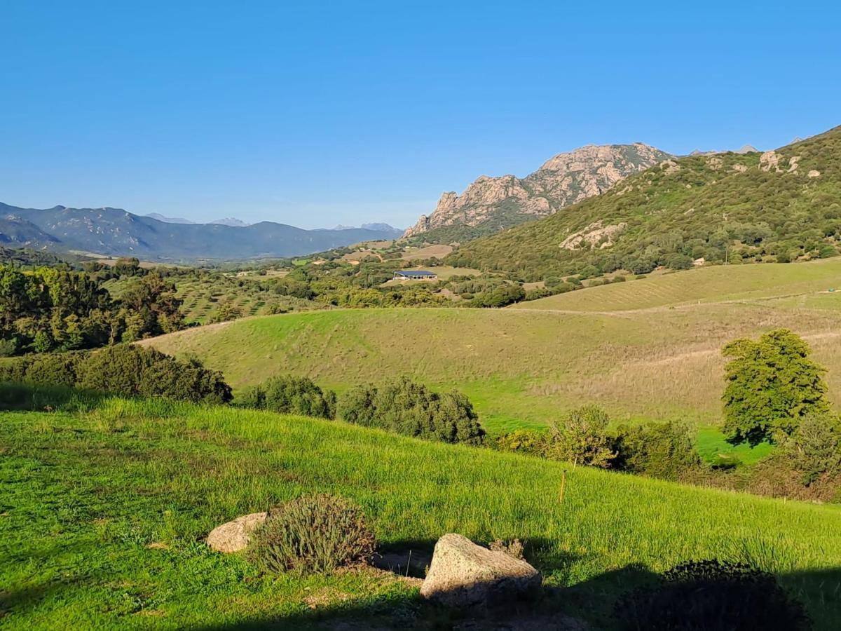 مبيت وإفطار Sarragia Ferme De Roccapina المظهر الخارجي الصورة